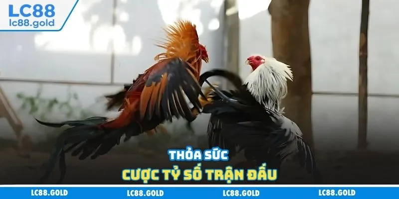 Thỏa sức cược tỷ số trận đấu