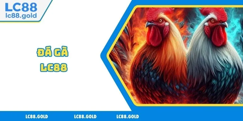 Đá Gà LC88 - Uy Tín Tuyệt Đối, Ưu Đãi Ngập Tràn